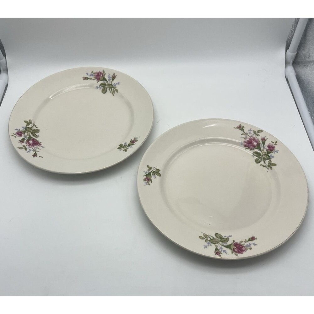 Priscilla Porcelain  Plates, Floral Pattern, from Japan, Set of 2